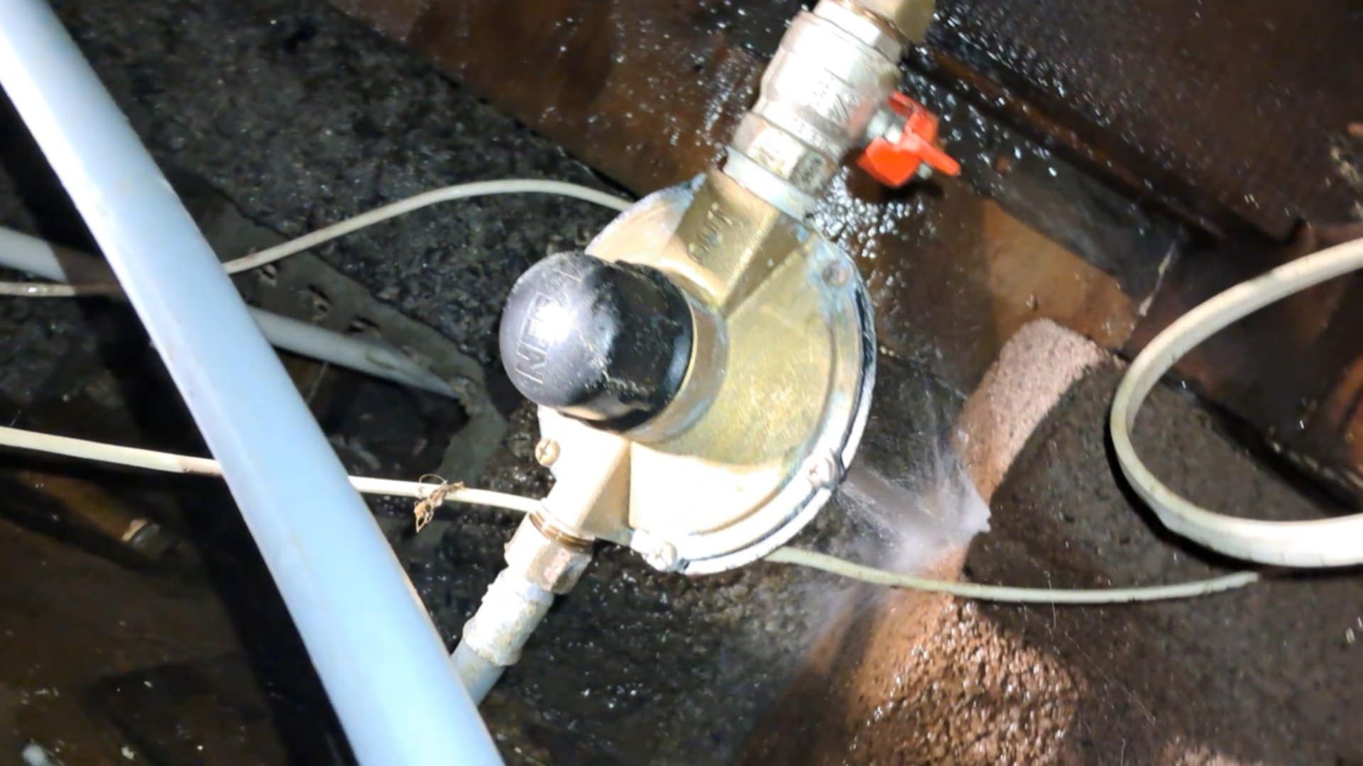 Professional Assessment