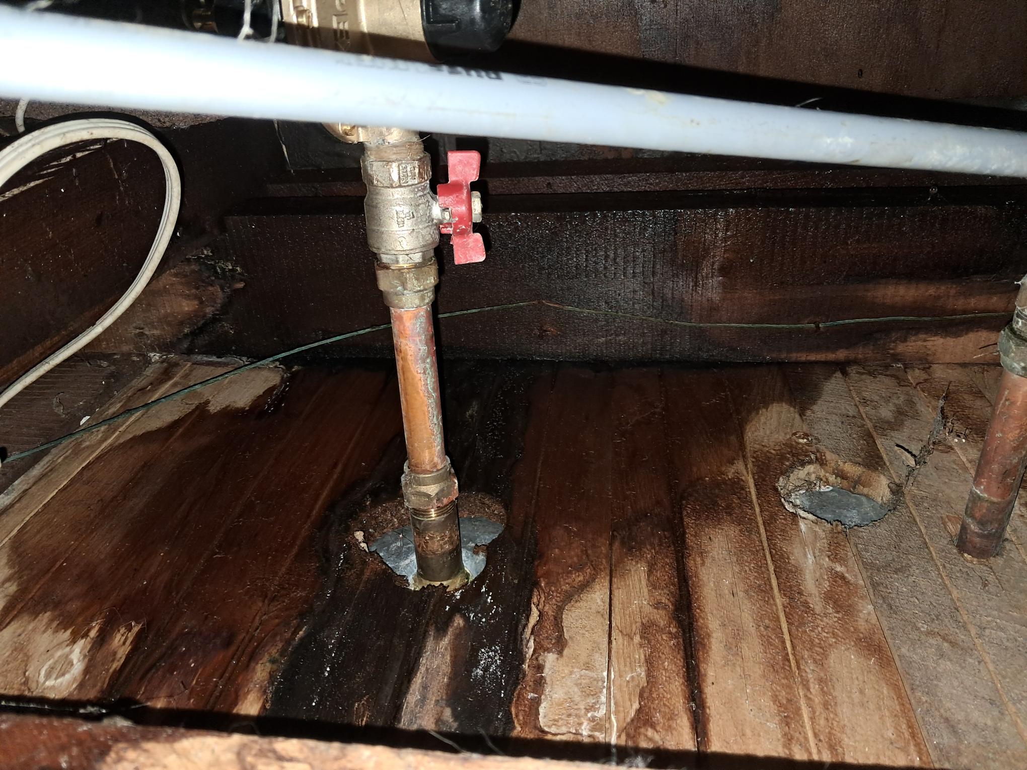 Comprehensive Assessment