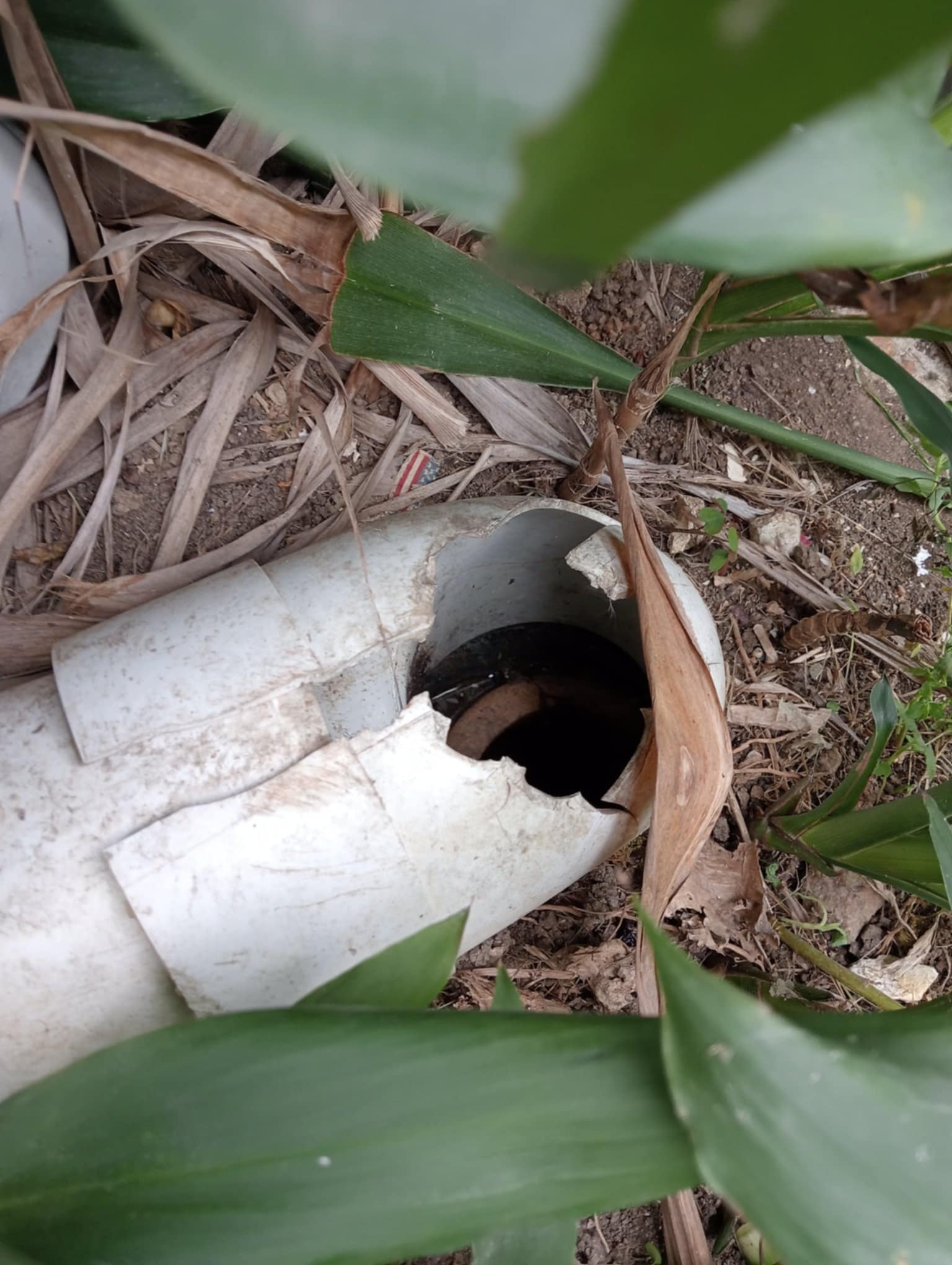 Detailed Documentation