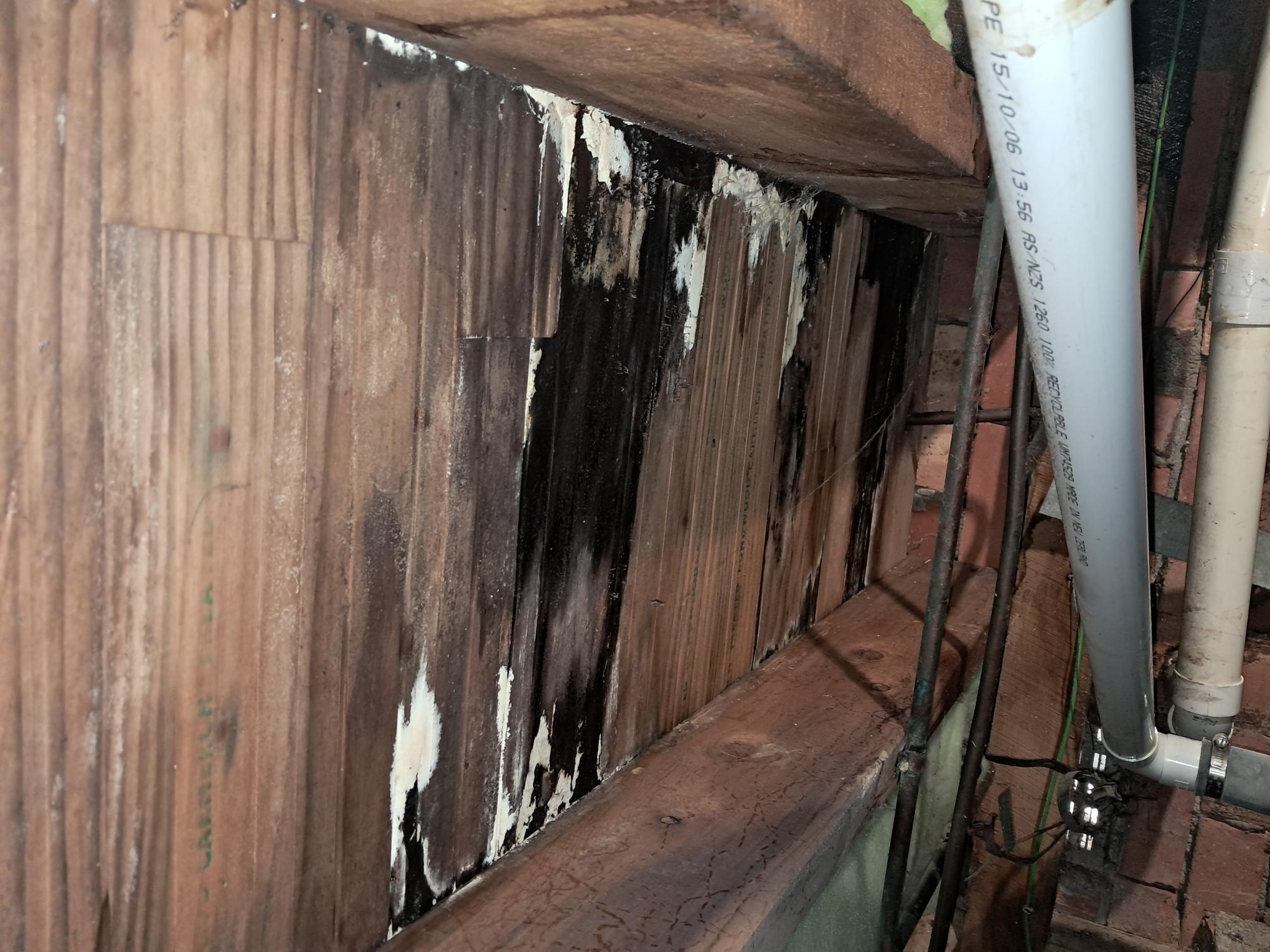 Subfloor Water Damage Assessment - Documentation 3